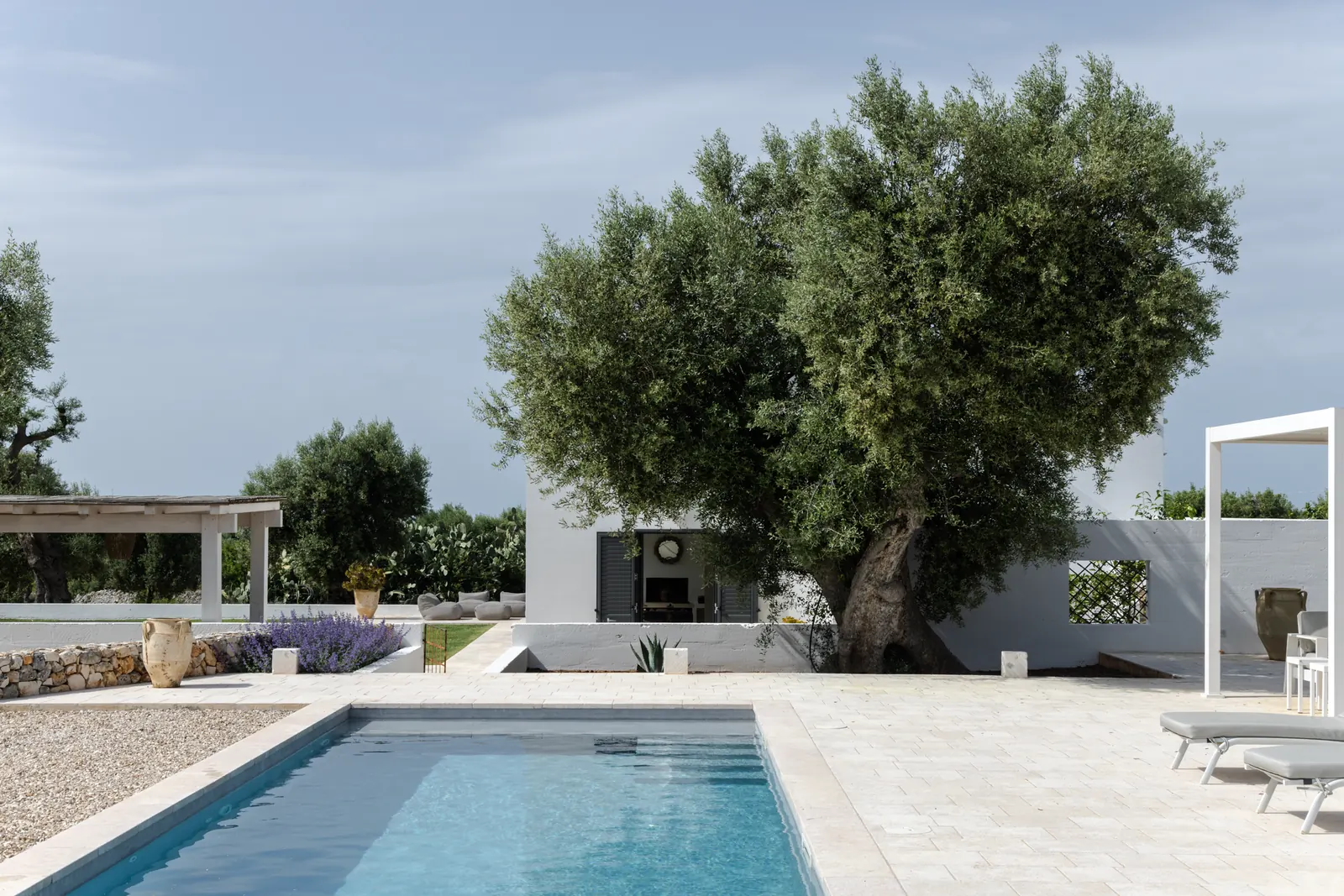 Casa Emilia pool and villa with a large olive tree