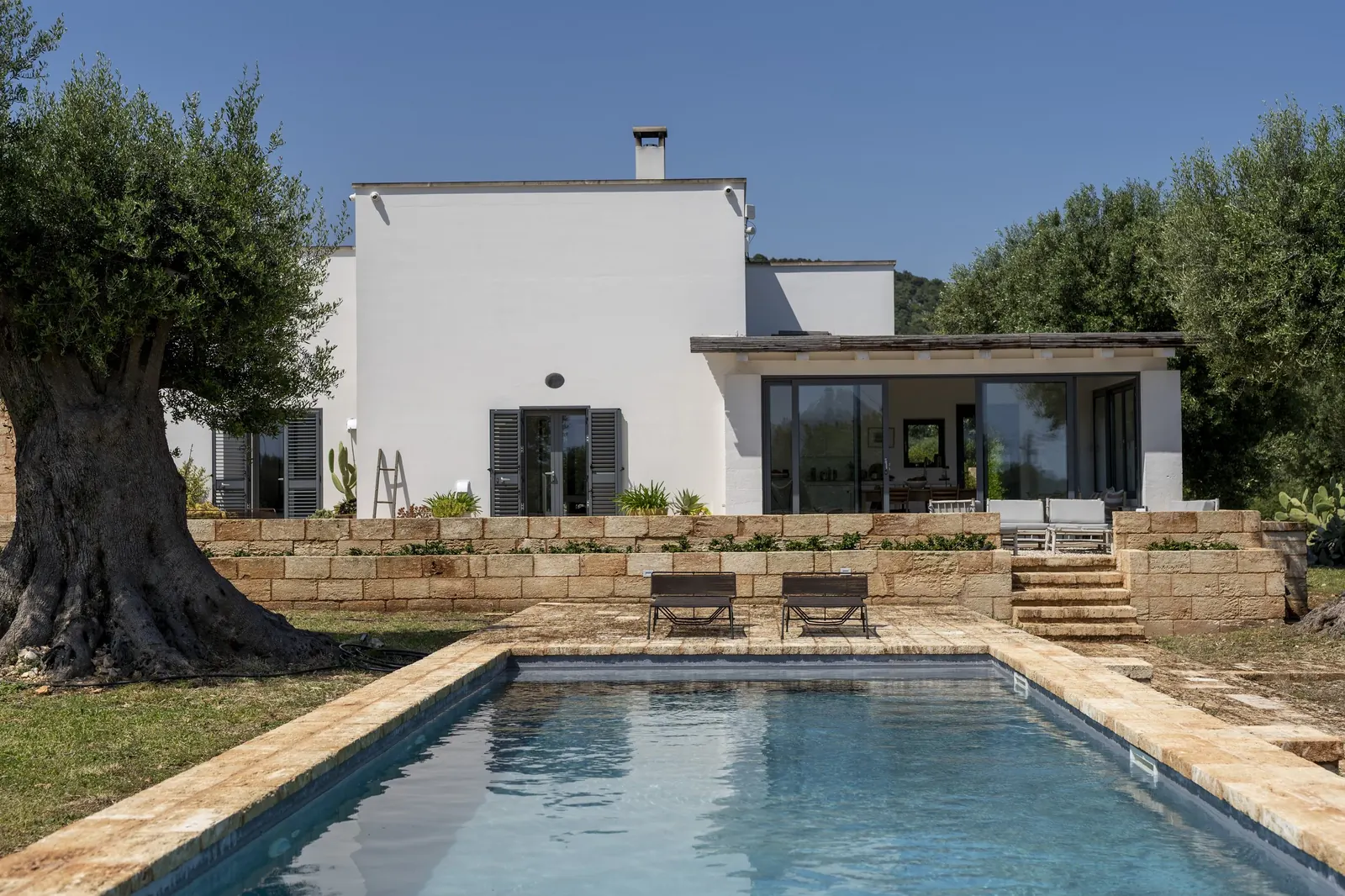 Casa Rocco villa and pool with an old olive tree